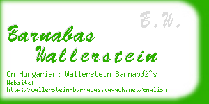 barnabas wallerstein business card